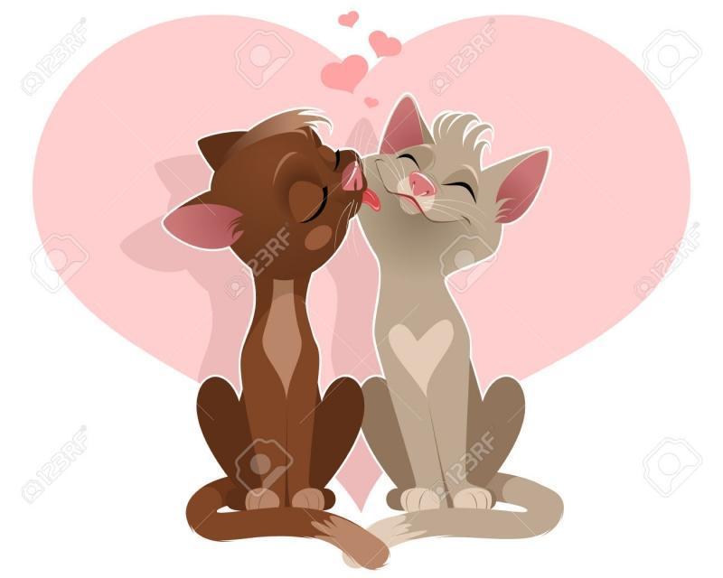 REPRODUCTION ET CONTRACEPTION