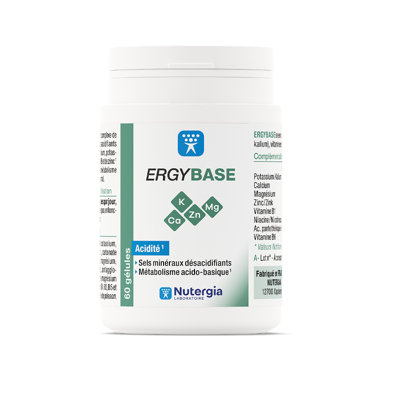 ERGYBASE